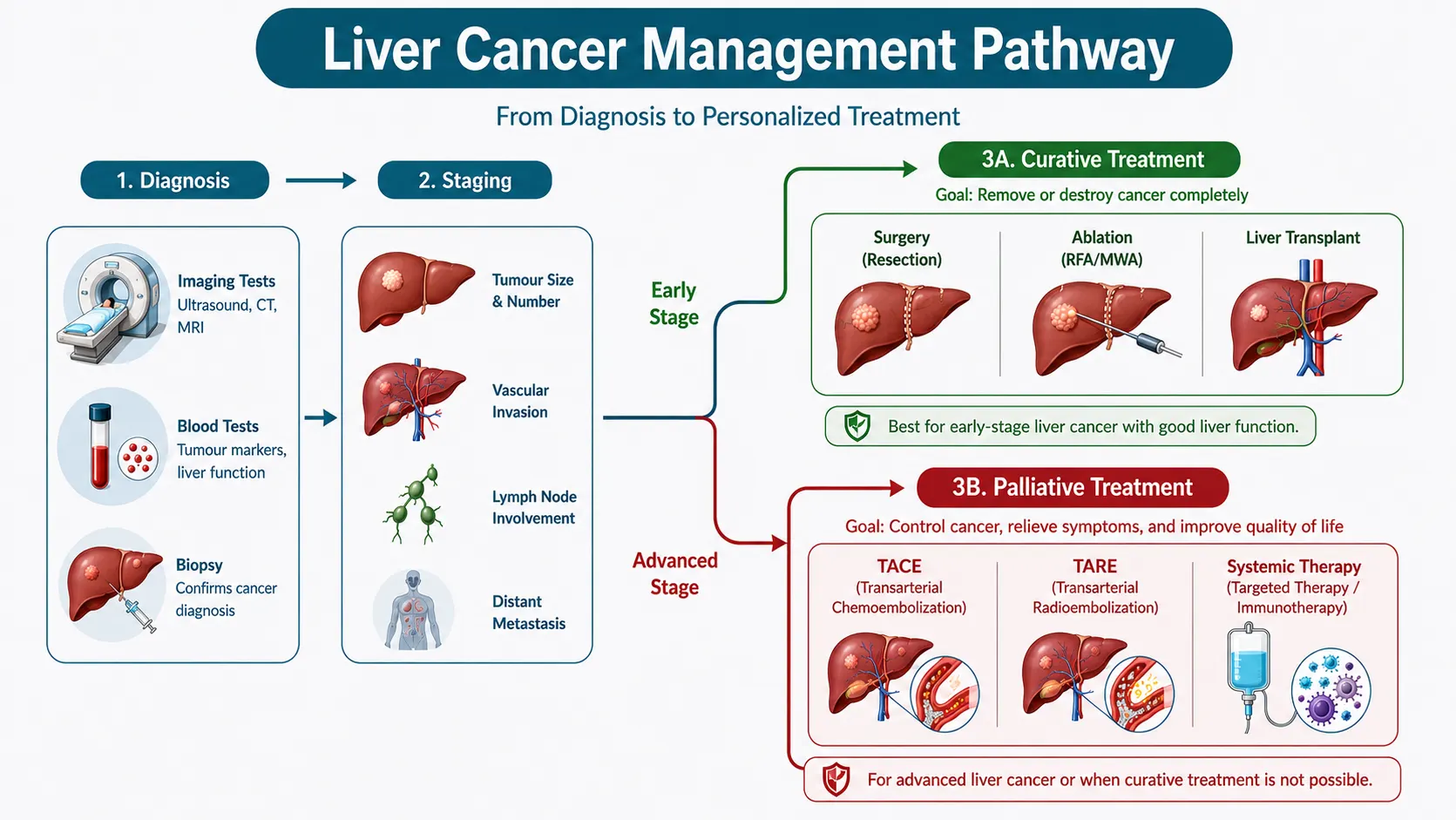 Liver cancer treatment in delhi ncr. best doctor for liver cancer in india. best doctor for liver cancer in delhi ncr. best liver cancer surgeon. liver cancer types. Liver Cancer Treatment Options in Delhi NCR Liver cancer treatment depends on the stage, tumour size, number of tumours, and liver function, curative options include surgery and ablation for early-stage disease, while advanced liver cancer is managed with TACE, targeted therapy, and immunotherapy. Dr. Surender Kumar Dabas, one of the best liver cancer surgeons in Delhi NCR, offers a full range of liver cancer treatments personalised to each patient's stage and liver reserve. 1. Liver Resection Surgery (Hepatectomy) Surgical removal of the tumour along with a margin of healthy liver tissue The preferred curative treatment for liver cancer in patients with adequate liver function and no cirrhosis Robotic liver cancer surgery in Delhi, Dr. Dabas performs minimally invasive robotic and laparoscopic hepatectomy using the Da Vinci Xi system Benefits of robotic approach: smaller incisions, less blood loss, reduced complications, shorter hospital stay vs. open surgery Laparoscopic liver surgery in Delhi is also offered for suitable tumour locations 2. Liver Ablation Therapy Destroys tumour cells using heat or energy, no surgical incision needed Radiofrequency ablation (RFA) for liver cancer, uses electrical current to generate heat and destroy the tumour Microwave ablation for liver tumour, uses microwave energy; effective for larger tumours than RFA Suitable for patients with early-stage HCC who are not surgical candidates due to poor liver function Can be performed percutaneously (through the skin) under CT or ultrasound guidance 3. TACE - Transarterial Chemoembolisation TACE treatment in Delhi NCR, delivers chemotherapy directly into the artery feeding the liver tumour, followed by blocking blood flow to the tumour Used for intermediate-stage liver cancer (BCLC Stage B) with multiple tumours Can be used to downstage tumours before surgery or transplant listing A well-established, effective locoregional liver cancer treatment option 4. TARE / Y-90 Radioembolisation Y-90 radioembolisation in Delhi, delivers radioactive microspheres directly into the tumour's blood supply Used for advanced liver cancer with portal vein involvement or as an alternative to TACE Allows continued liver function while targeting the tumour with internal radiation 5. Targeted Therapy for Liver Cancer First-line systemic treatment for advanced hepatocellular carcinoma Sorafenib and lenvatinib are standard first-line targeted drugs Regorafenib and cabozantinib used in second-line settings Slows tumour progression and extends survival in advanced liver cancer treatment 6. Immunotherapy for Liver Cancer Checkpoint inhibitors (atezolizumab combined with bevacizumab) are now the preferred first-line treatment for many advanced HCC patients Nivolumab and pembrolizumab used in second-line or combination settings Immunotherapy for liver cancer works by activating the immune system to recognise and attack cancer cells 7. Liver Transplantation For patients meeting Milan criteria (single tumour under 5 cm, or up to 3 tumours each under 3 cm) with significant cirrhosis Removes both the tumour and the diseased liver, addressing both problems simultaneously Requires referral to a transplant centre; Dr. Dabas coordinates this pathway for suitable patients 8. Palliative Treatment for Liver Cancer For advanced or terminal-stage liver cancer, palliative care focuses on managing pain, ascites (abdominal fluid), jaundice, and nutritional support Palliative chemotherapy for liver cancer and symptom management can meaningfully extend quality of life